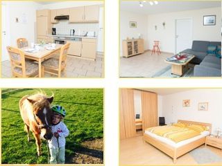 Bauernhof Holzdorf Ferienhof Ost Bild 2